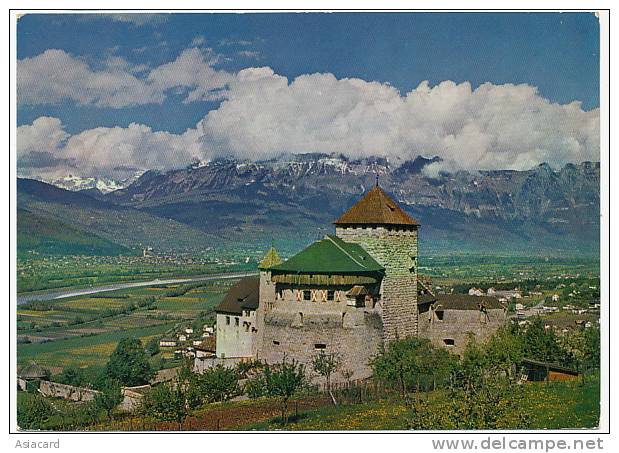 Chateau De Vaduz Timbrée 1963  Hubert Gassner No 45 Size 10 By 15 - Liechtenstein