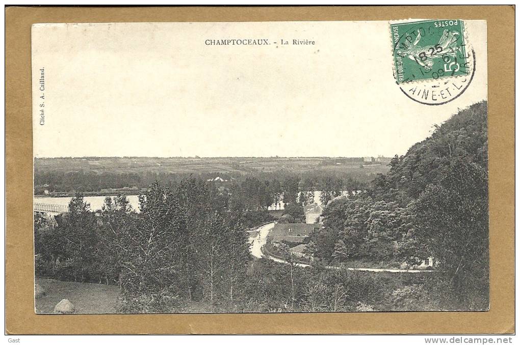 49  CHAMPTOCEAUX   LA  RIVIERE - Champtoceaux