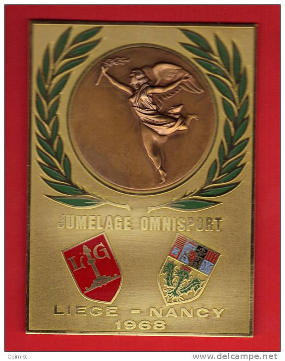 23093-plaque Metal Jumelage Omnisport Liege.Nancy.1968..11cm Sur 8cm. - Otros & Sin Clasificación