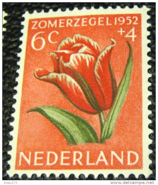 Netherlands 1952 Cultural And Social Relief Fund Tulip 6c + 4c - Mint - Unused Stamps