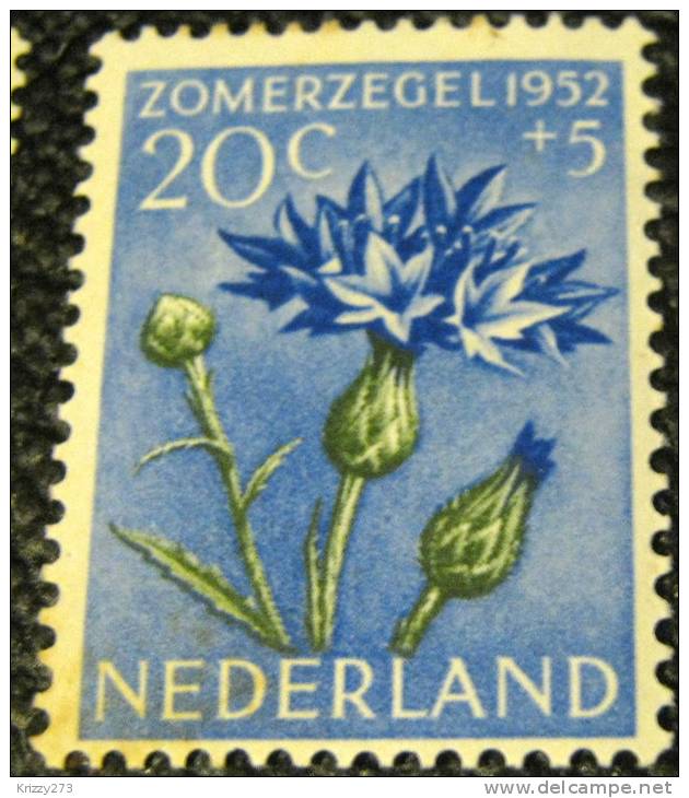 Netherlands 1952 Cultural And Social Relief Fund Cornflower 20c + 5c - Mint - Unused Stamps