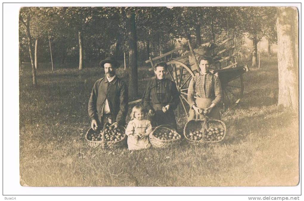 Cpa Normandie Le Cidre La Pomme Panier Cariole Paysan Agriculteur Tonneau - Andere & Zonder Classificatie