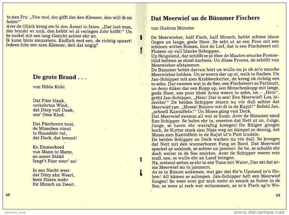 Eutiner Klenner Für Das Jahr Christi 1995 , Kalenderdarium Mit Mondauf- Und Untergangszeiten , Mondphasen - Calendars