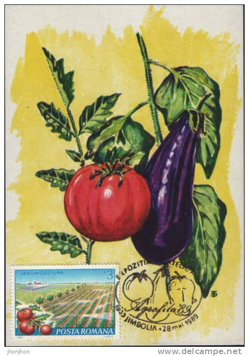 Romania-1989-  Maximum Postcard-Tomatoes And Aubergines(lycopersicum Esculentum,solanum Melongena) - Vegetables