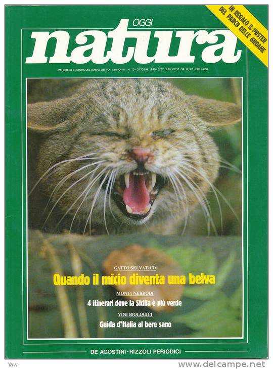 1990 Rivista NATURA OGGI Anno VIII N. 10, Ottobre 1990 Micio Belva, Sicilia, Vino - Natur