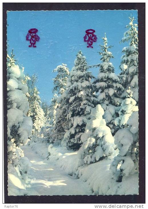 CPM Neuve Arbres Sapins Sous La Neige Paysage Hivernal - Bäume