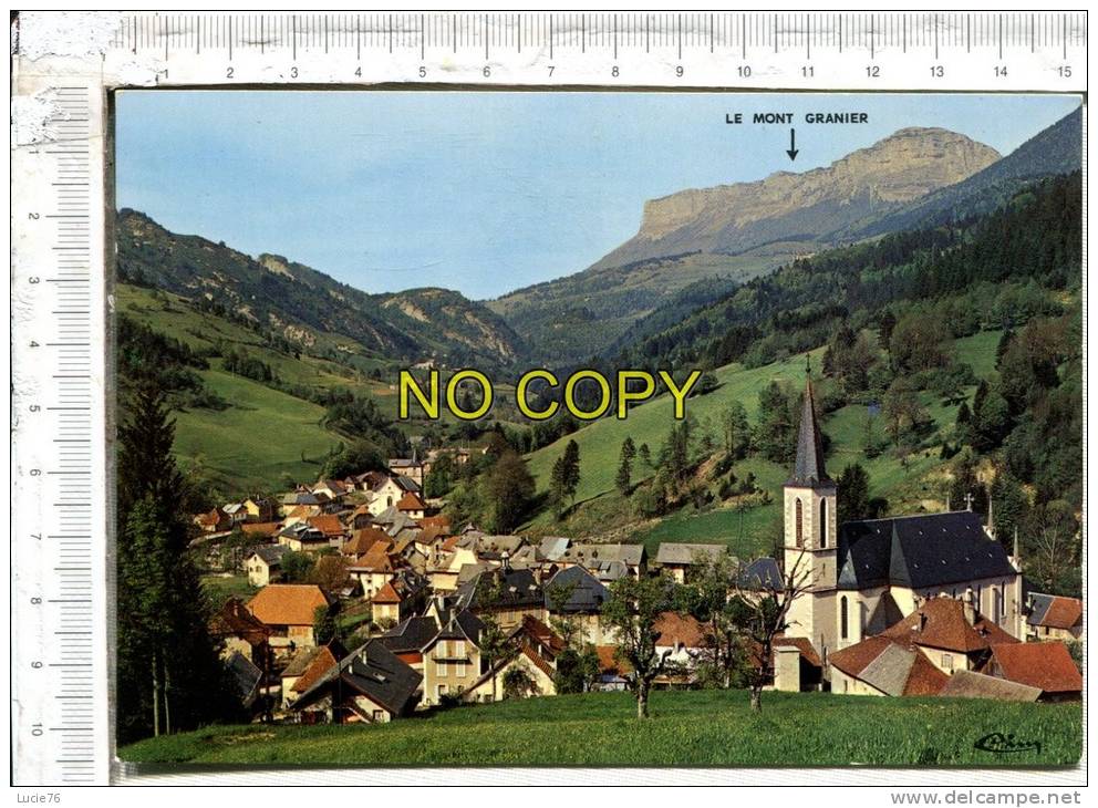 ST PIERRE D´ENTREMONT  -  Alt  640 M. - Vue Générale ; Au Fond, Le Col Et Le Mont Granier - Saint-Pierre-d'Entremont