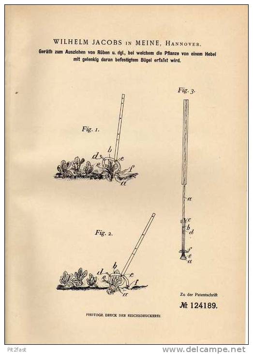 Original Patentschrift - W. Jacobs In Meine , Hannover , 1900 , Gerät Zum Ziehen Von Rüben , Landwirtschaft !!! - Historische Dokumente