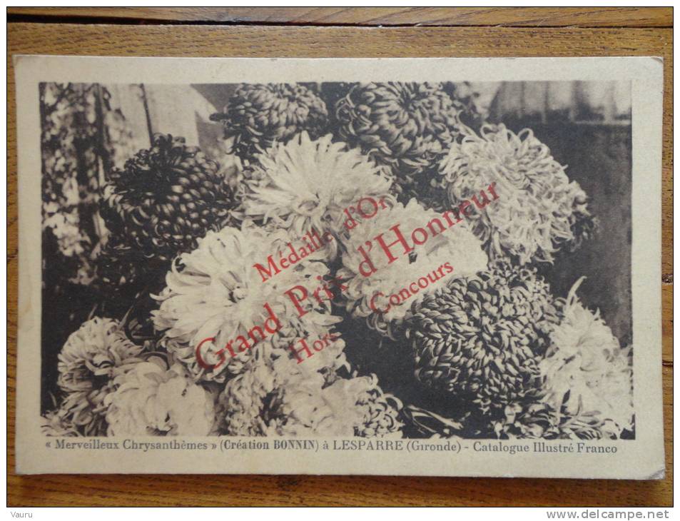 33 LESPARRE  MERVEILLEUX CHRYSANTHEMES CREATION BONNIN CARTE INVITATION EXPOSITION - Lesparre Medoc