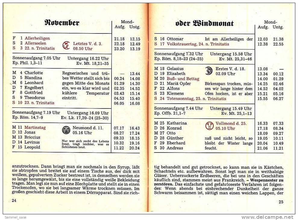 Eutiner Klenner Für Das Jahr Christi 1996 , Kalenderdarium Mit Mondauf- Und Untergangszeiten , Mondphasen - Calendars