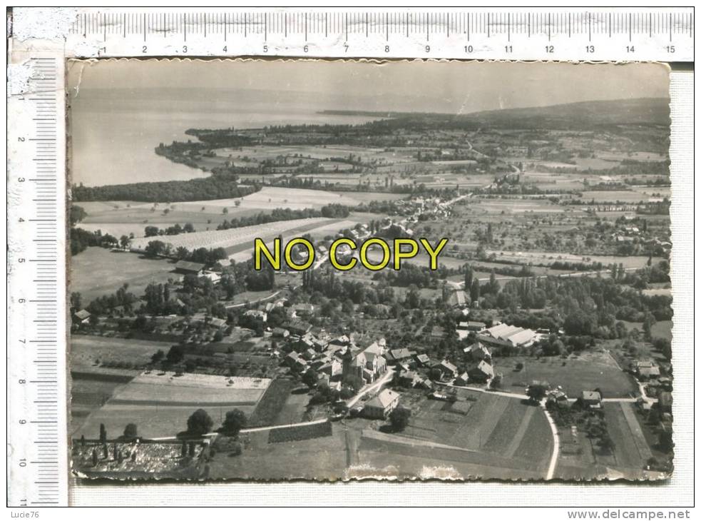 SCIEZ -  Vue Générale Aérienne Et Le Lac Léman - Sciez