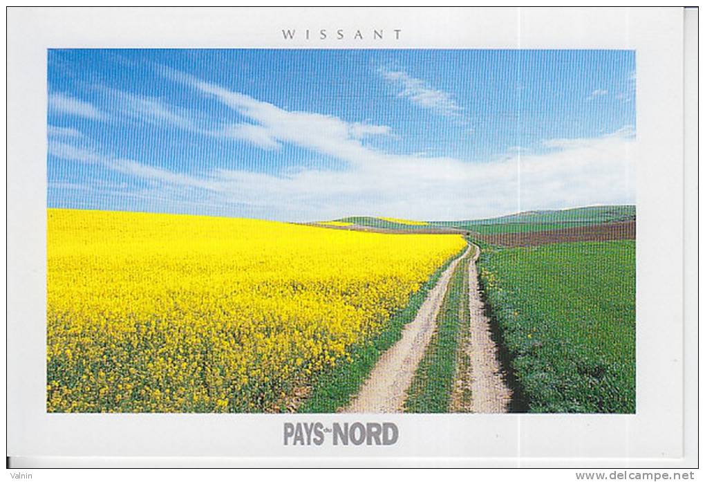 Wissant - Wissant