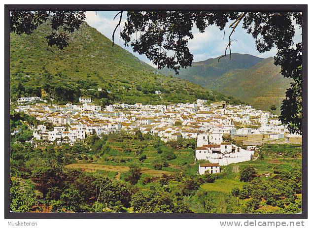 Spain PPC Andalucia Ojen (Costa Del Sol) Vista General Vue General View No. 1717 - Autres & Non Classés