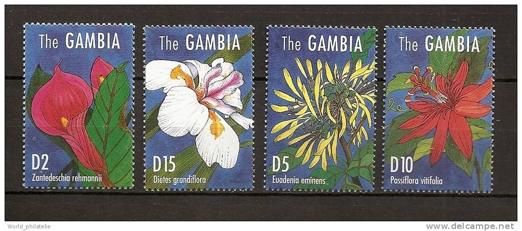 Gambie Gambia 1995 N° 1883 / 6 ** Flore, Fleurs Africaines, Canarina Abyssinica, Nerine Bowdenii, Uncarina, Plumbago - Gambia (1965-...)