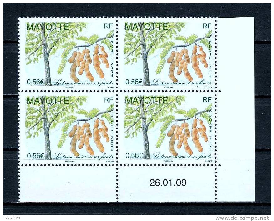 MAYOTTE 2009  N° 223 ** Bloc De 4 Coin Daté  Neuf Ier Chx. SUPERBE (Flore, Arbres, Fruits. Le Tamarinier. Flora, Trees) - Andere & Zonder Classificatie