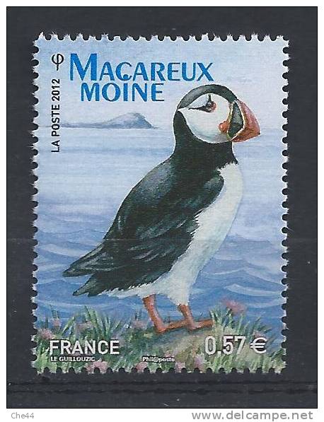 Macareux Moine. (Voir Commentaires) - Penguins