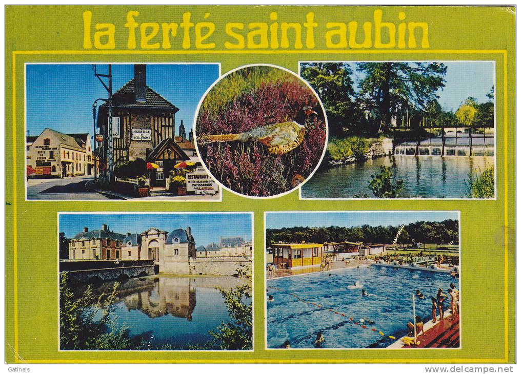La Ferté Saint Aubin - (loiret) - La Ferte Saint Aubin