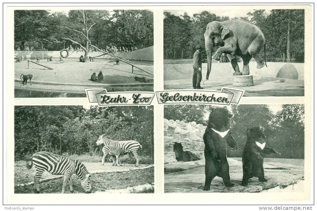 Gelsenkirchen, Ruhr-Zoo, Vier Ansichten, Ca. 50er/60er Jahre - Gelsenkirchen