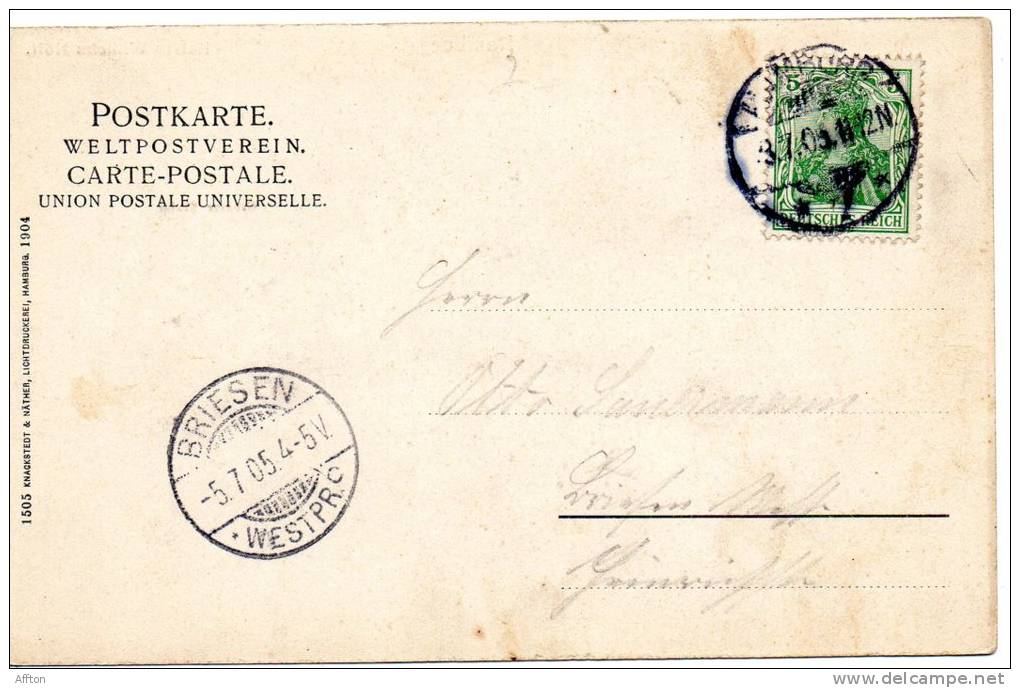 Hamburg Kaiser Willhem Hoft Grosser Krahn 1905 Postcard - Nord