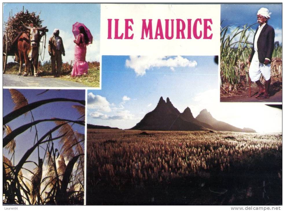 (666) Mauritius Islands - Ile Maurice - Maurice