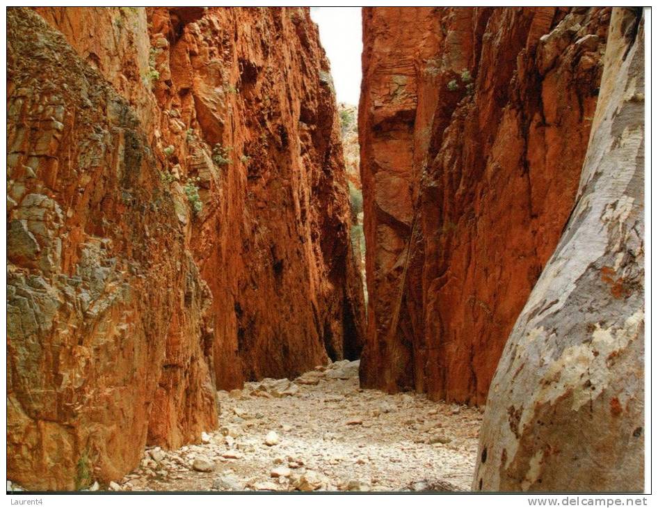 Australia - Standley Chasm, Known As Angkerle By Local Aborigines - Northern Territory - Unclassified