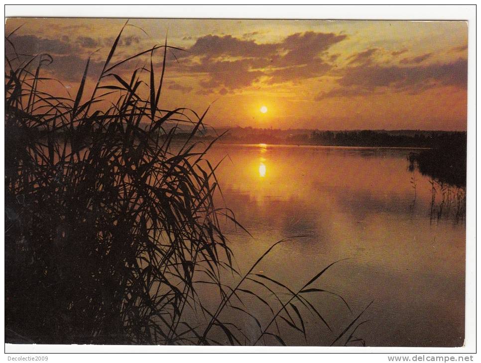 BR8335 Coucher De Soleil Sur Les Etangs   2 Scans - Metz Campagne