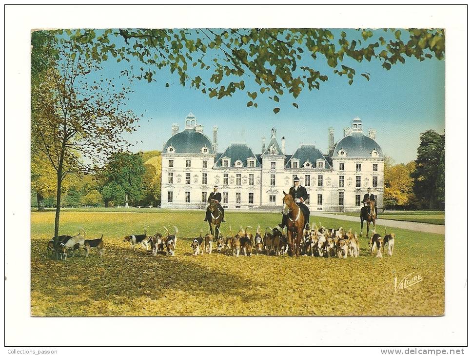 Cp, Chasse, Cheverny (41) - Les Piqueux Et La Meute De L´ Equipage De Cheverny Devant Le Château, Voyagée 1982 - Jacht