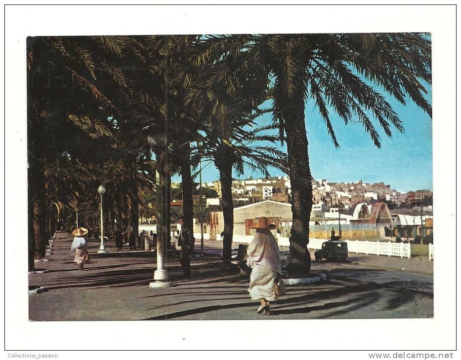 Cp, Maroc, Tanger, Avenue Des Forces Armées Royales, Voyagée 1984 - Tanger