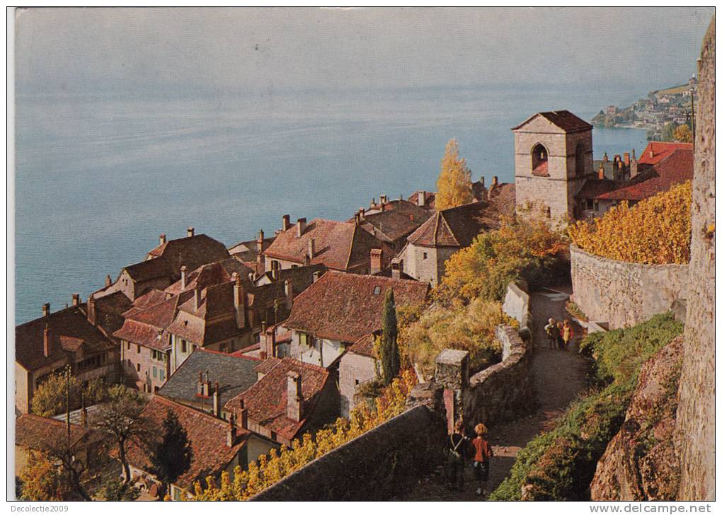 BR12789 Le Lavaux Saint Saphorin    2 Scans - Saint-Saphorin