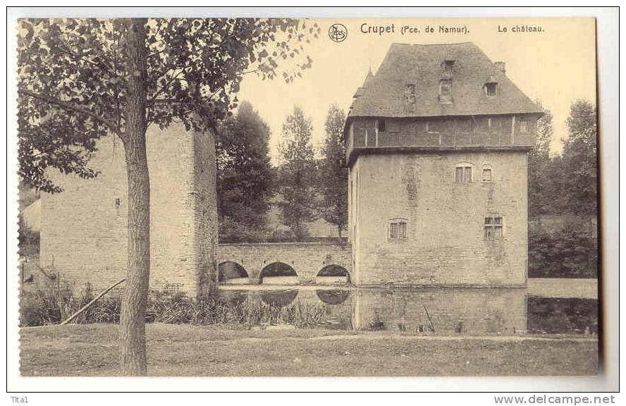 D9397 - Crupet - Le Château - Assesse