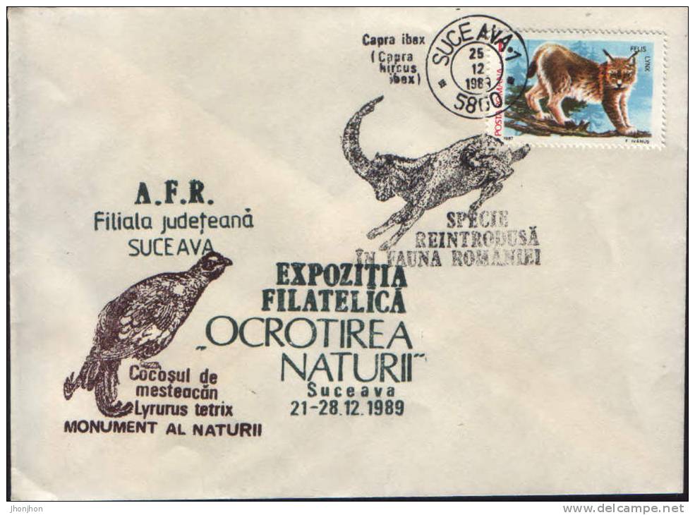 Romania-Envelope Occasionally 1989-  With Cancellation Wild Goat;chamois;Gämse -2/scans - Game