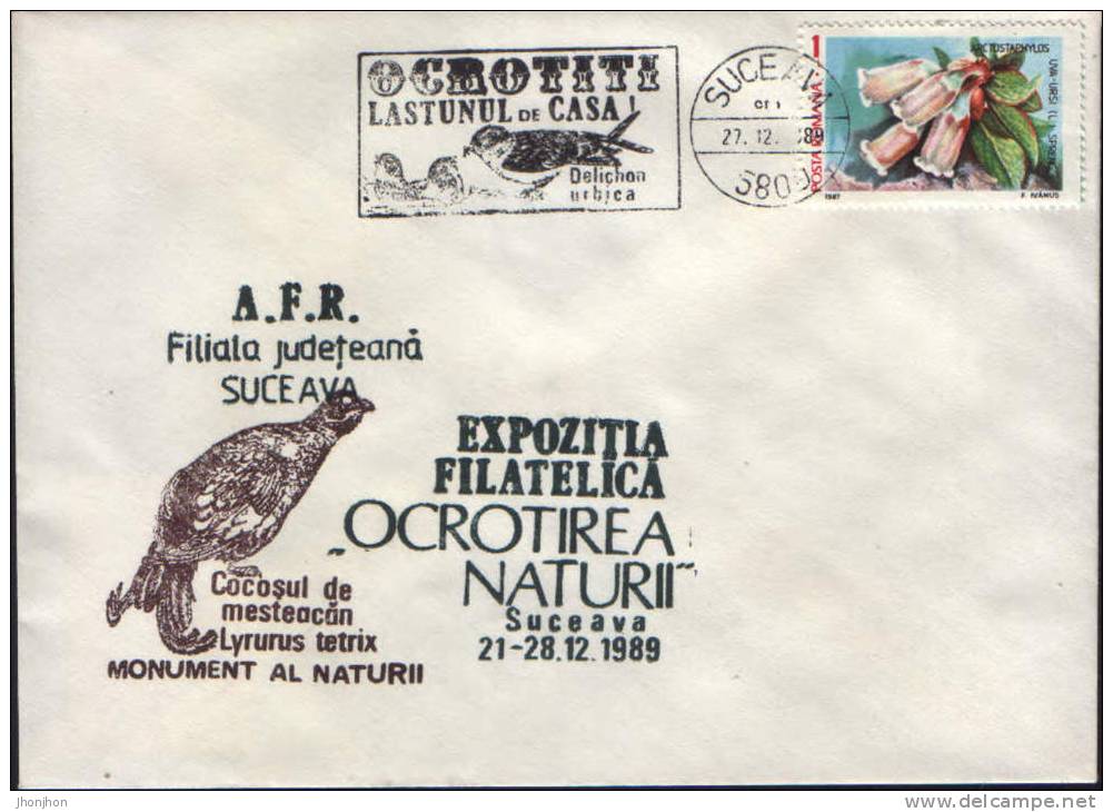 Romania-Envelope Occasionally 1989-  With Cancellation  House Martin;martin Maison; Martin Haus-2/scans - Moineaux