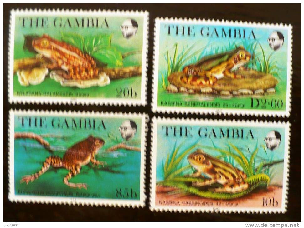 GAMBIE: Grenouilles + CHAMPIGNONS. (Yvert 454/57). Neufs Sans Charniere. MNH - Grenouilles