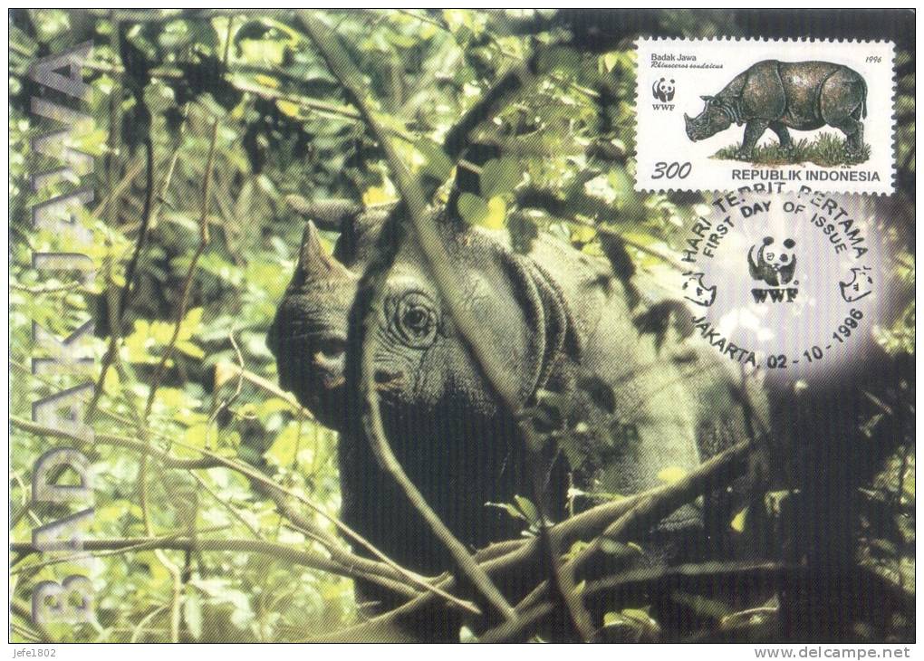 Fauna - Neushoorn - Rhinoceros Sondaicus - Rhinocéros