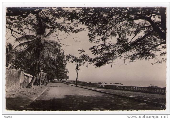 Postcard - Conakry, Guinee    (7029) - Guinée