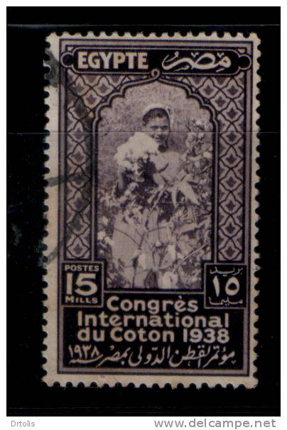 EGYPT /  1938 / INTERNATIONAL COTTON CONGRESS / VF USED  . - Gebruikt