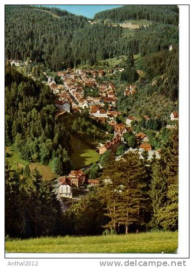 Wohngebiet 774 Triberg Schwarzwald 27.10.1963 Coloriert - Triberg