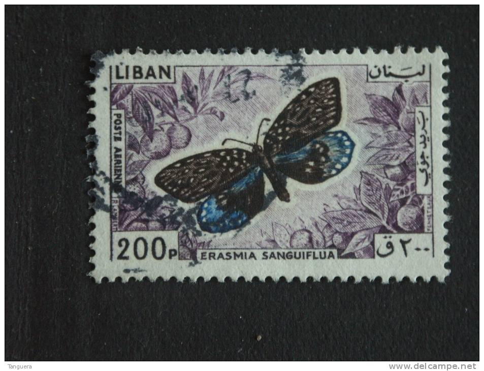Libanon Liban 1965 Vlinder Papillon Buterfly Yv LP PA 339 O - Papillons