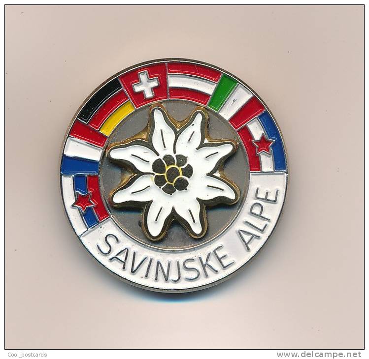 SLOVENIA, ALPINISM, MOUNTAINEERING,  INTERNATIONAL CONVENTION, SAVINJSKE ALPE, LARGE VINTAGE BADGE, 1970s - Alpinismus, Bergsteigen