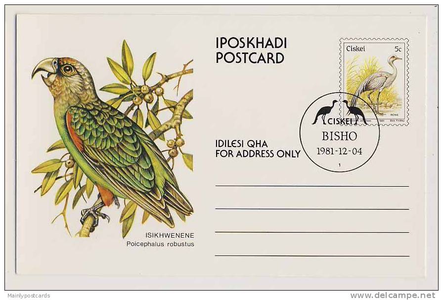 Ciskei, Pre-franked Stationery Postcard Showing Birds - Ciskei