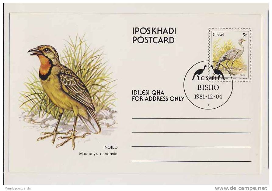 Ciskei, Pre-franked Stationery Postcard Showing Birds - Ciskei