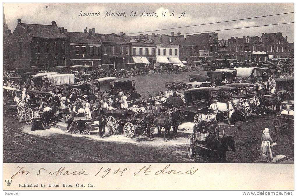 SOULARD MARKET - St. LOUIS - U. S. A. - CARTE POSTALE VOYAGÉE En 1905 De ST. LOUIS à BUCAREST, ROUMANIE (l-681) - St Louis – Missouri