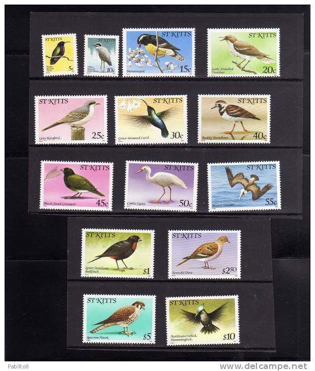 ST. KITTS 1981 BIRDS COMPLETE - UCCELLI SERIE COMPLETA MNH - St.Kitts En Nevis ( 1983-...)