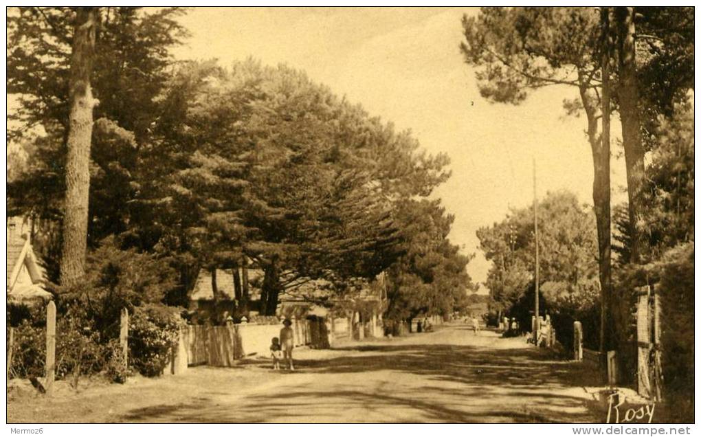 Tharon Plage Avenue Pasteur 895 Coll Reuze Rosy Chapeau Editeur 1932 Carte Animée - Tharon-Plage