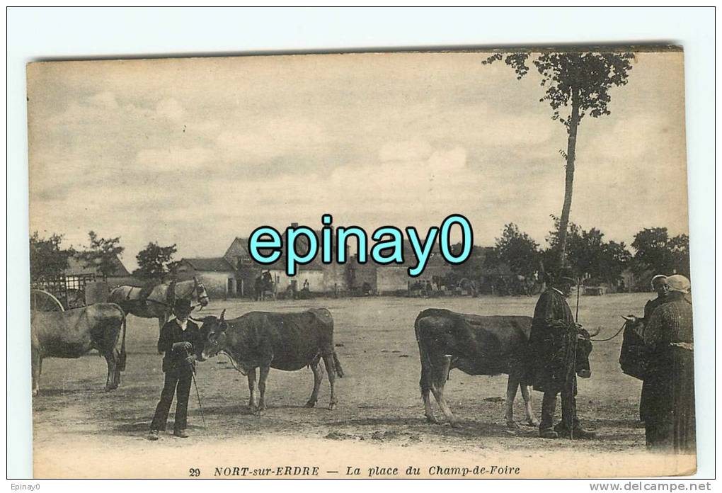 B - 44 - NORT SUR ERDRE - Vache Nantaise - Marché - La Place Du Champ De Foire - édition Artaud - Nort Sur Erdre