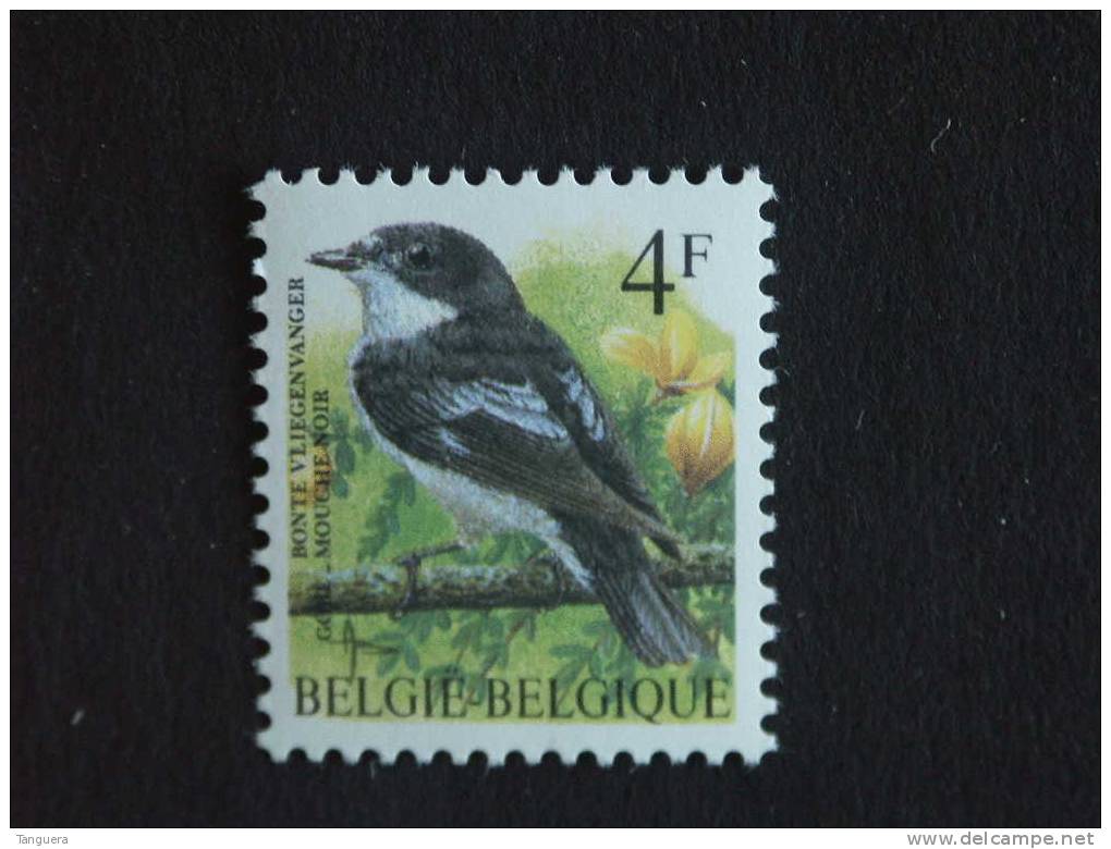 België Belgique Belgium 1996 Vogels Oiseaux Buzin Bonte Vliegenvanger Mouche Noir 2654 MNH ** - 1985-.. Vögel (Buzin)