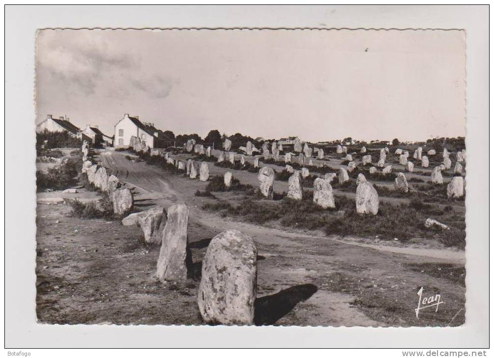 CPM CARNAC , LES ALIGNEMENTS - Dolmen & Menhire