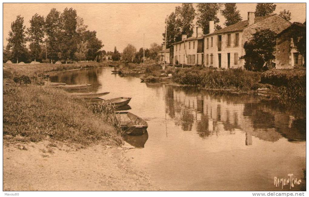 La Sèvre Niortaise à COULON - Autres & Non Classés