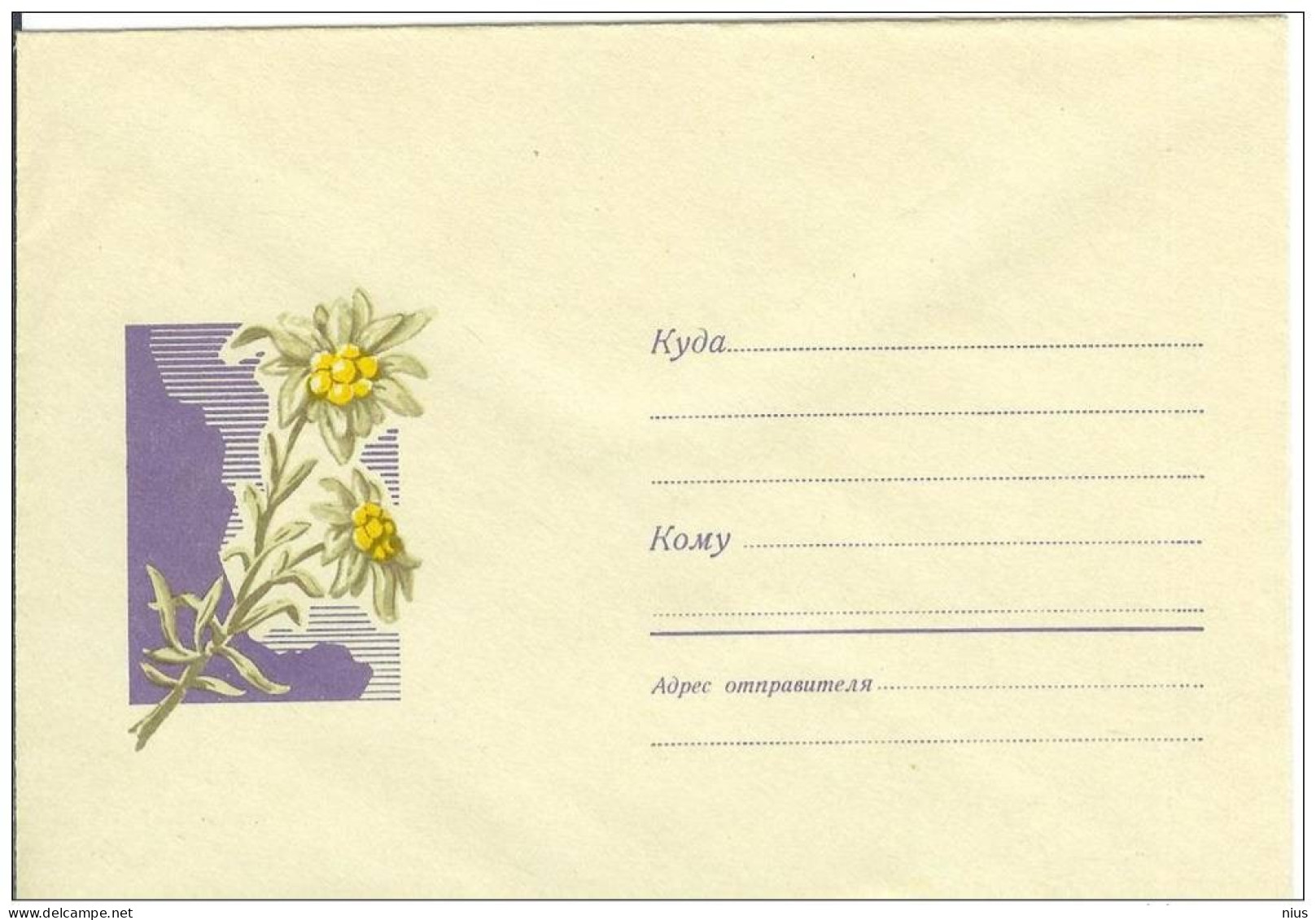 Russia USSR 1969 Fleurs Flowers Flower Blumen Flora Plants Edelweiss Envelope - 1960-69