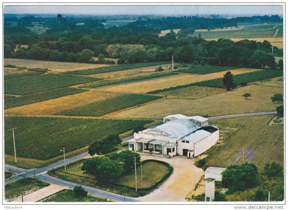 CAVE  BELLEVUE   ORDONNAC.  33340  LESPARRE-MEDOC   Tél.  16 (56) 41. 14. 13 - Lesparre Medoc